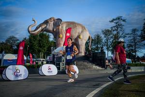 BIB: 
                            <button type="button" onclick="openModal(26541848)" class="btn btn-primary btn-sm float-right btn-popup" data-toggle="modal" data-target=".modal-high-quality">
                        <i class="fas fa-shopping-cart"></i> Add to Cart
                    </button>
                                            <button type="button" onclick="isThisMe(26541848, true)" class="btn btn-success btn-sm float-right btn-popup btn-isme hidden" data-toggle="tooltip" data-placement="bottom" title="นี่คือรูปของคุณใช่ไหม คลิกที่นี่เพื่อเอาเข้าอัลบั้ม">
                        <i class="fas fa-plus"></i> Add to album
                    </button>
                    <button type="button" onclick="isThisMe(26541848, false)" class="btn btn-warning btn-sm float-right btn-popup btn-isnotme hidden">
                        <i class="fas fa-ban"></i> Remove from album
                    </button>